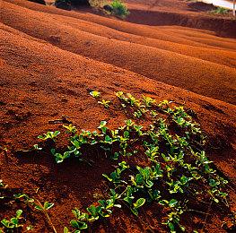 生存驾驶游戏《太平洋驾驶》跳票到2024年